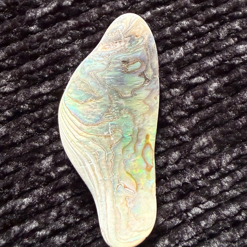 Colorful Abalone Shell Pieces - Picture 7 of 8
